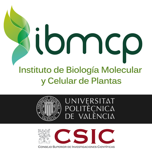 15 DE FEBRER | Jornada IBMCP – Ciència i Tecnologia al Servei de l'Agricultura