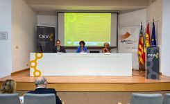 La AVI y la CEV promueven la colaboración público-privada para participar en las Misiones Ciencia e Innovación que impulsa el CDTI