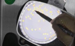 El Consell financia el desarrollo de nuevas baldosas cerámicas que eliminan virus, bacterias y hongos y previenen las infecciones hospitalarias