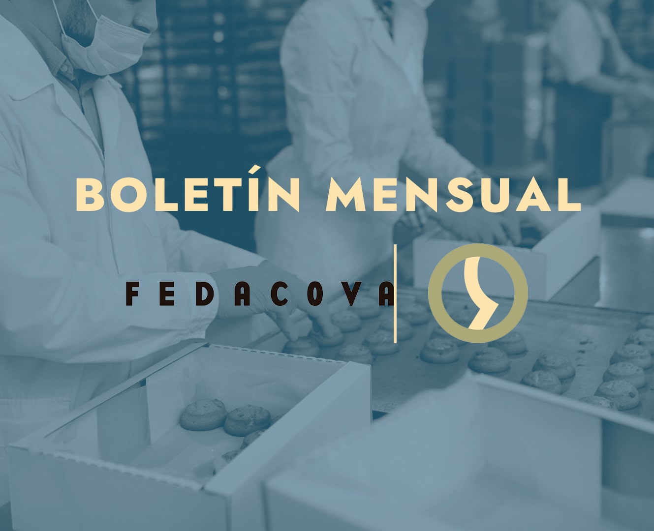 Boletin FEDACOVA Noviembre 2023