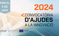 Ivace+i Innovació convoca ajudes per al desenvolupament de projectes d’R+D+i en col·laboració per valor de 49 milions d’euros