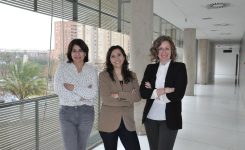 Ivace+i financia una unidad de innovación en Fisabio para investigar el microbioma humano y crear soluciones de digitalización asistencial