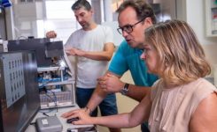 6 de junio de 2025 | Ivace+i financia una plataforma para predecir problemas de salud entre la población mayor y acelerar la investigación de nuevos fármacos