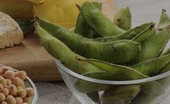 12 de septiembre de 2025 |  WEBINAR Alimentos plant based: Innovación en análogos cárnicos y lácteos