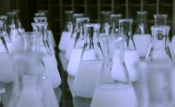 El Consell destina más de tres millones de euros para financiar ocho unidades de innovación en centros de investigación y fortalecer la I+D+i