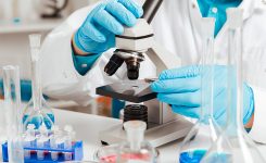 Ivace+i finança millores en la tècnica d’edició genètica per a obtindre cultius més resistents enfront de les plagues i sequera