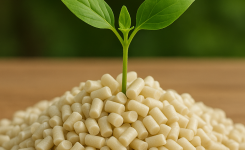 IX Seminario Internacional de Biopolímeros y Composites Sostenibles