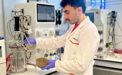 Ivace+i financia el desarrollo de procesos innovadores para fabricar bioplásticos sostenibles a partir de residuos agrícolas y restos de poda