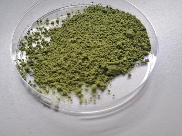 Ivace+i Innovación financia un proceso pionero para obtener ingredientes naturales, bioactivos y sostenibles a partir de algas