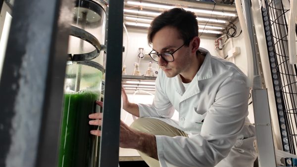 Ivace+i Innovación apoya el desarrollo de nuevos bioestimulantes basados en microalgas capaces de sobrevivir en condiciones extremas