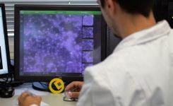 Dos de cada tres proyectos de I+D+i financiados por la Generalitat se ejecutan gracias a las ayudas de Ivace+i Innovación<br/><br/>