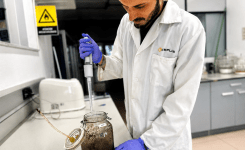 Ivace+i Innovación financia una técnica para acelerar la descomposición de bioplásticos con bacterias y fagos en entornos industriales