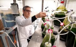 Ivace+i Innovació resol el programa d’ajudes per a la consolidació de la cadena de valor empresarial amb 11,1 milions d’euros